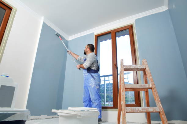 Best Repainting for Renovations  in Chatsworth, GA